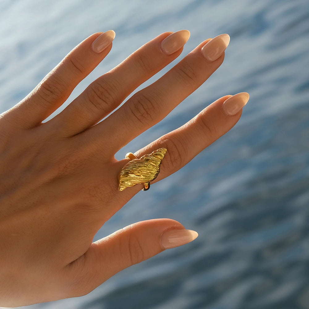 Micara - Coquille Nautilus - Anneaux