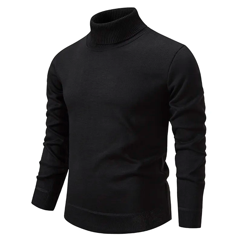 Paul - Pull col roulé à manches longues pour homme