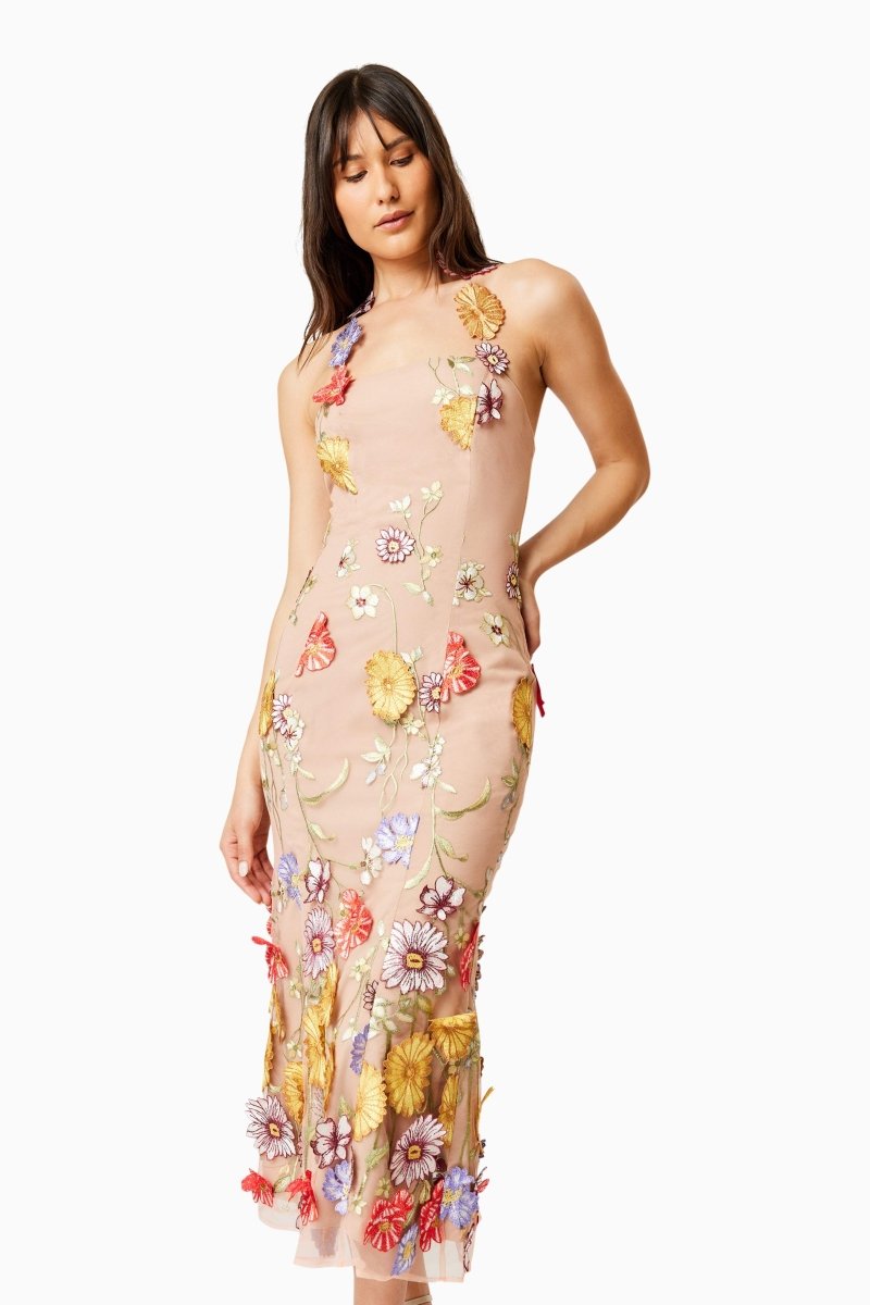 Donna – Besticktes Midikleid aus Spitze