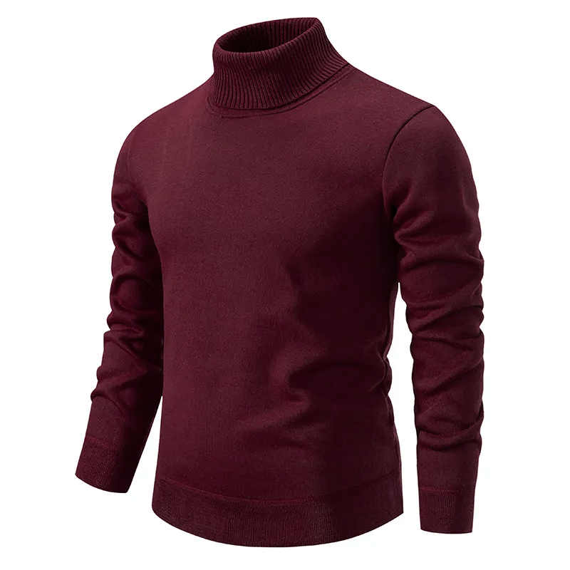 Paul - Pull col roulé à manches longues pour homme