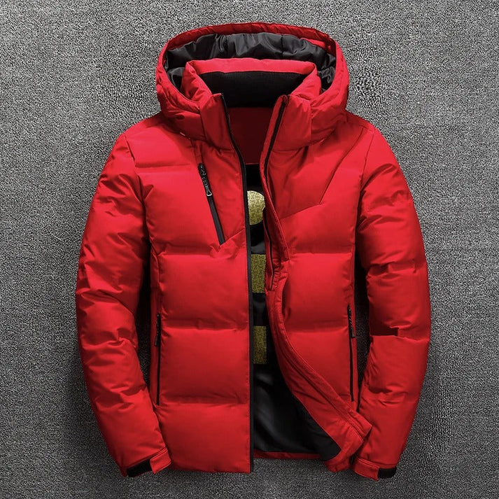 Veste d'hiver chaude et imperméable avec capuche pour homme | idéal pour l'hiver
