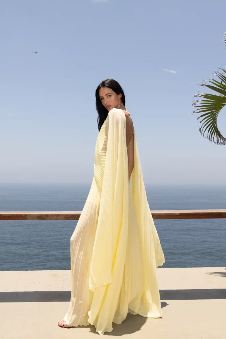 CeliaB Soleil Pleated Gown