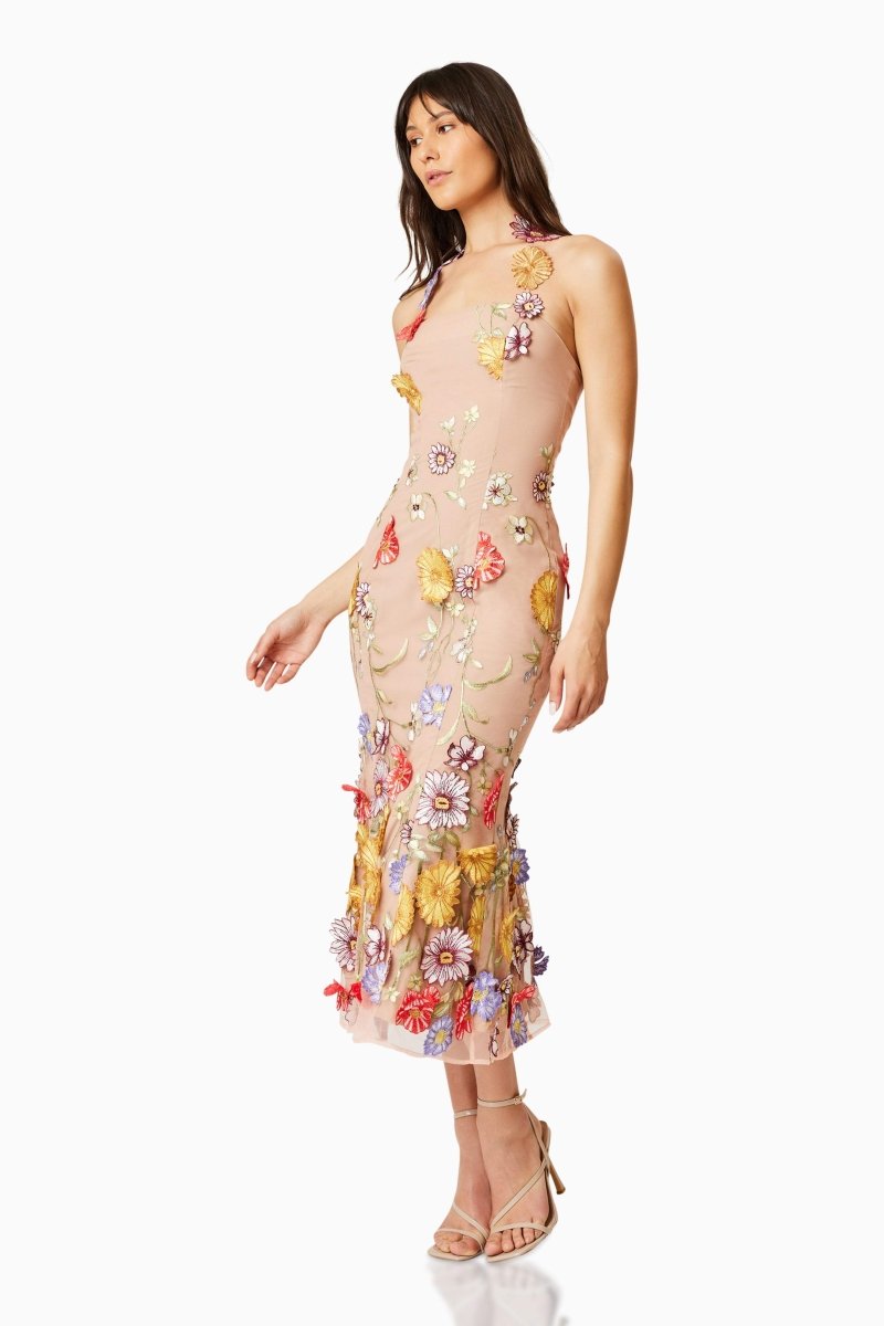 Donna – Besticktes Midikleid aus Spitze