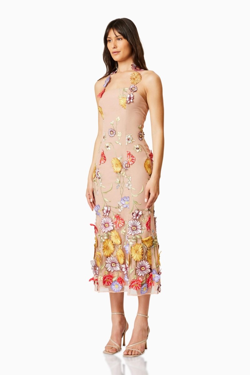 Donna – Besticktes Midikleid aus Spitze