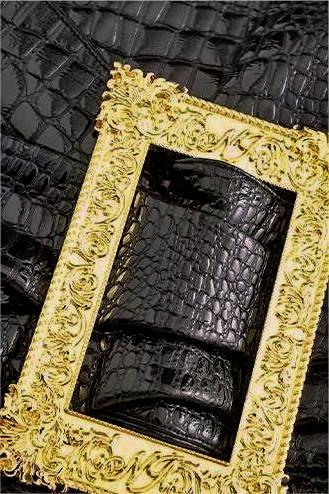 Minijupe en cuir Hedda