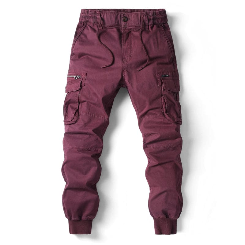 Lothwin | Pantalon cargo pour homme | De plein air