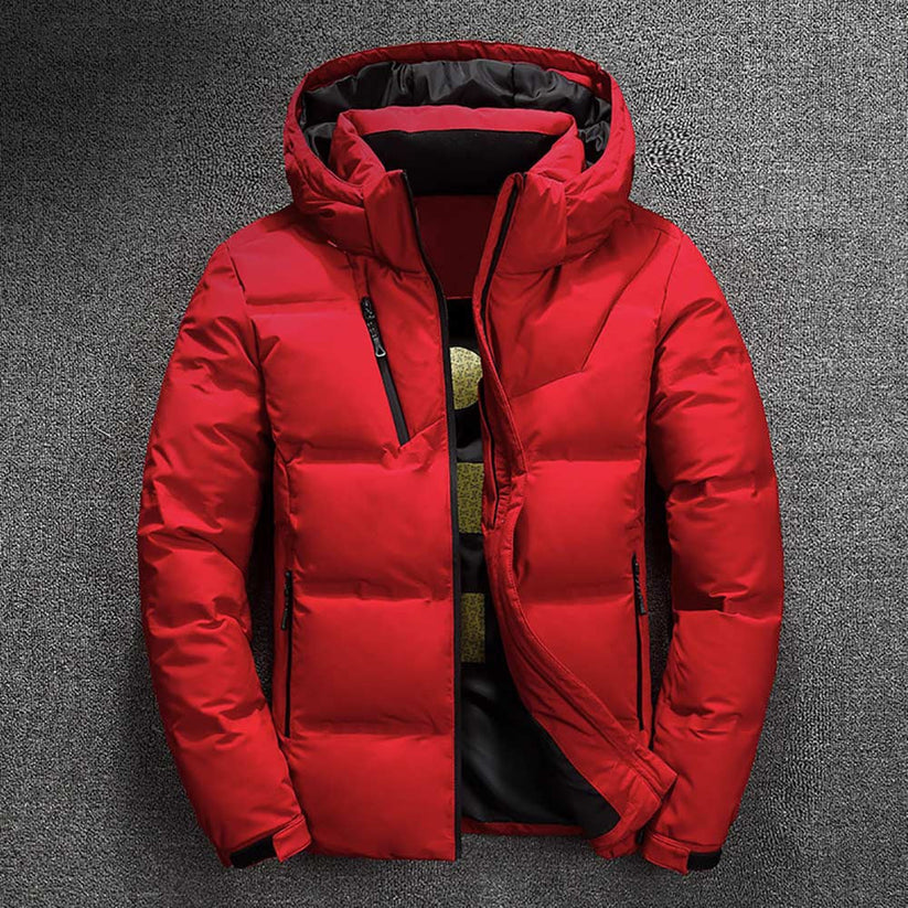 Ash - veste d'hiver matelassée pour homme